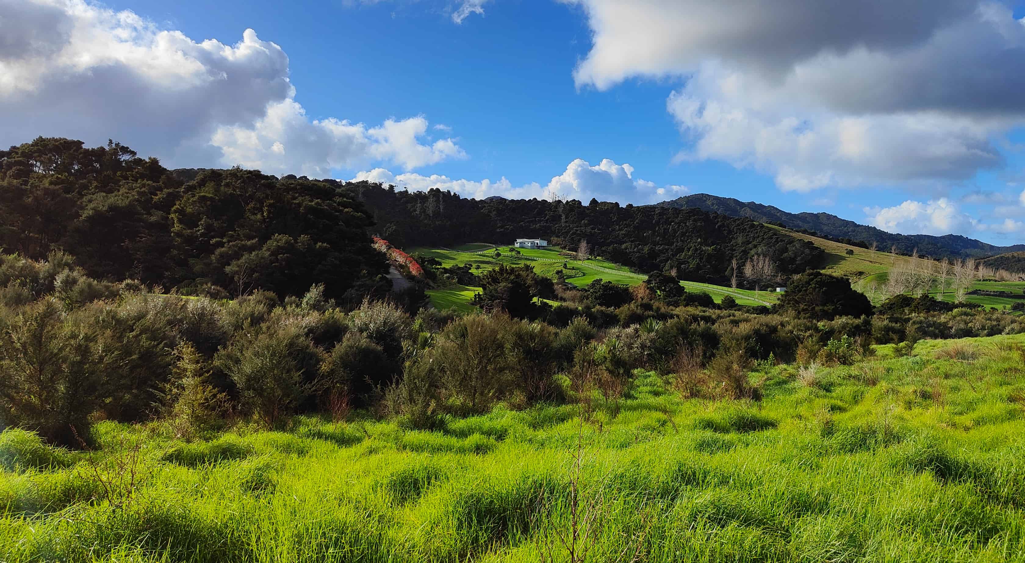 14 Pa Hill Lane, Mangawhai, Kaipara For Sale realestate.co.nz