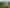17 Chatfield Lane, Aokautere