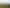 17 Chatfield Lane, Aokautere
