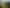 17 Chatfield Lane, Aokautere