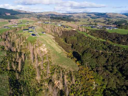 17 Chatfield Lane, Aokautere