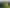 17 Chatfield Lane, Aokautere