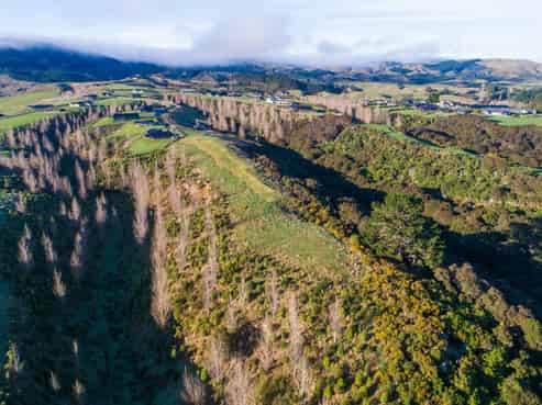 17 Chatfield Lane, Aokautere
