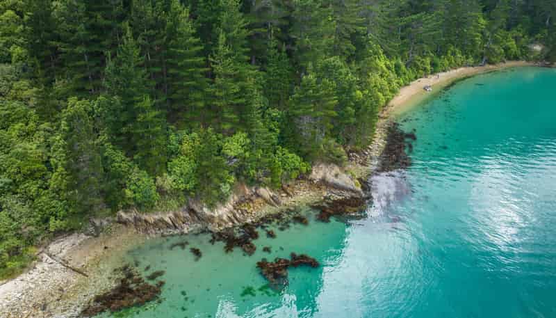  Deep Bay, Arapaoa Island