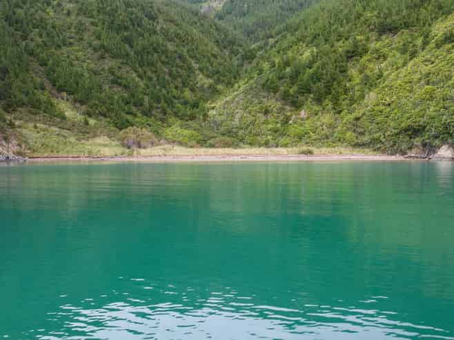  Deep Bay, Arapaoa Island