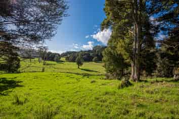 433 Crane Road, Kauri