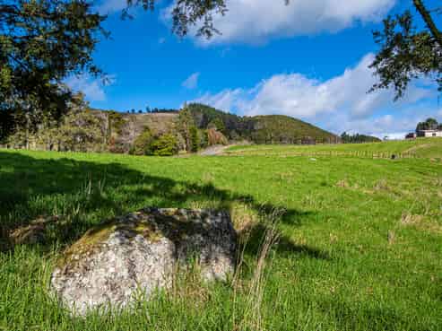 451 Crane Road, Kauri