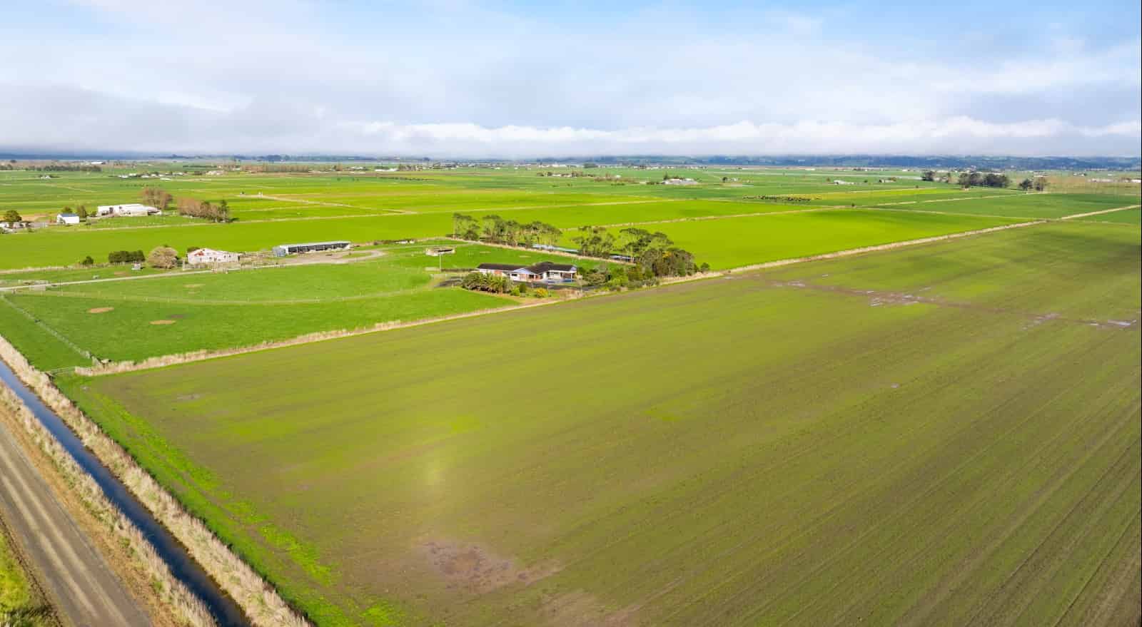 119 Hodgson Road, Ruawai, Kaipara For Sale realestate.co.nz