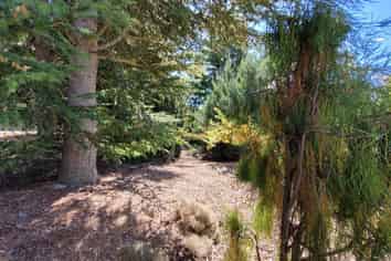 436A Bannockburn Road, Cromwell