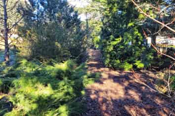 436A Bannockburn Road, Cromwell