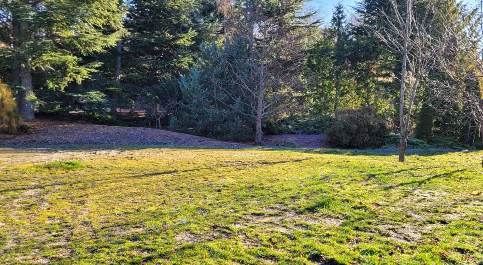 436A Bannockburn Road, Bannockburn, Central Otago For Sale