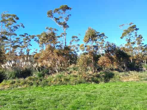 102 Karearea Way, Matarangi