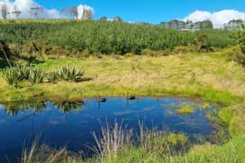 27 Riddell Road, Kerikeri