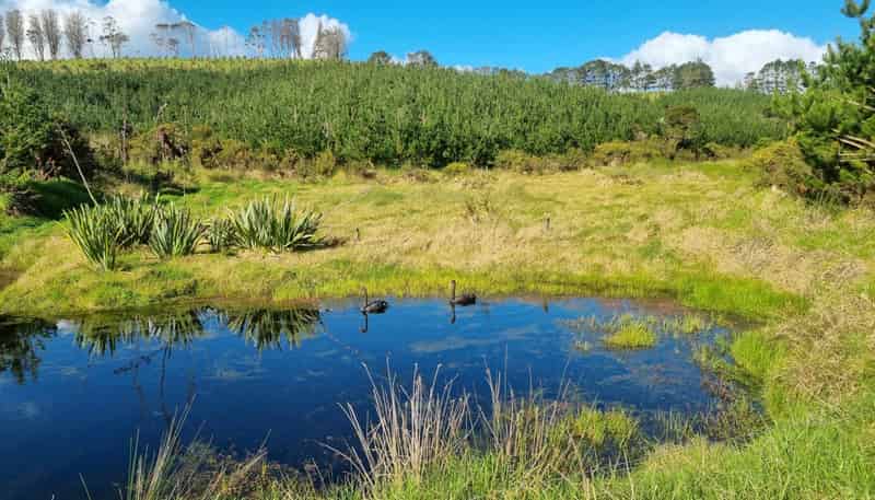 27 Riddell Road, Kerikeri
