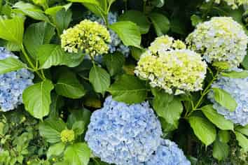 10 Richmal Street, Waihi