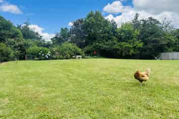 10 Richmal Street, Waihi