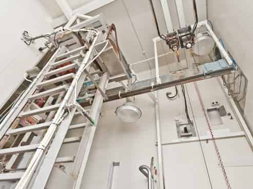 Beef meat processing plant Whanganui 