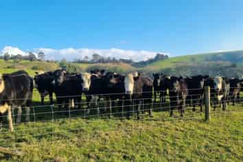 59f Riddell Road, Kerikeri