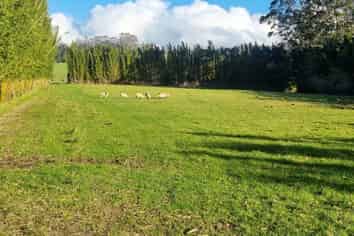59f Riddell Road, Kerikeri
