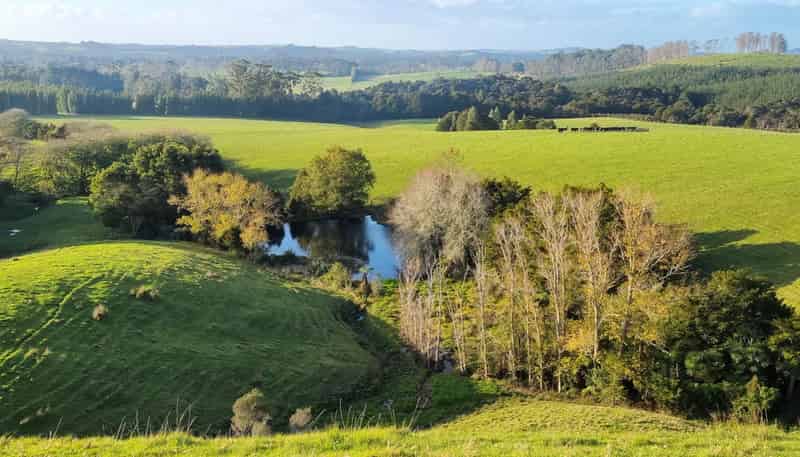 59f Riddell Road, Kerikeri
