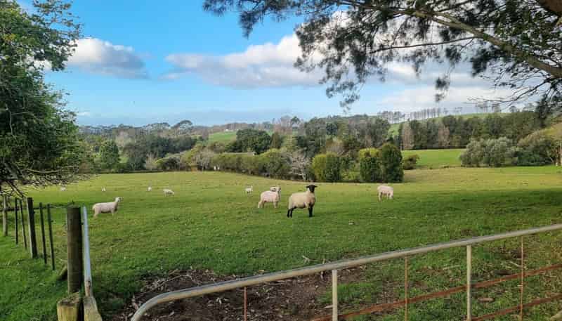 59f Riddell Road, Kerikeri