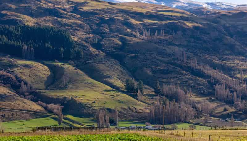  Mcelligott Road, ROXBURGH