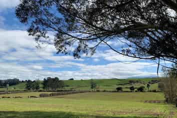 169 Rawhitiroa Road, Eltham