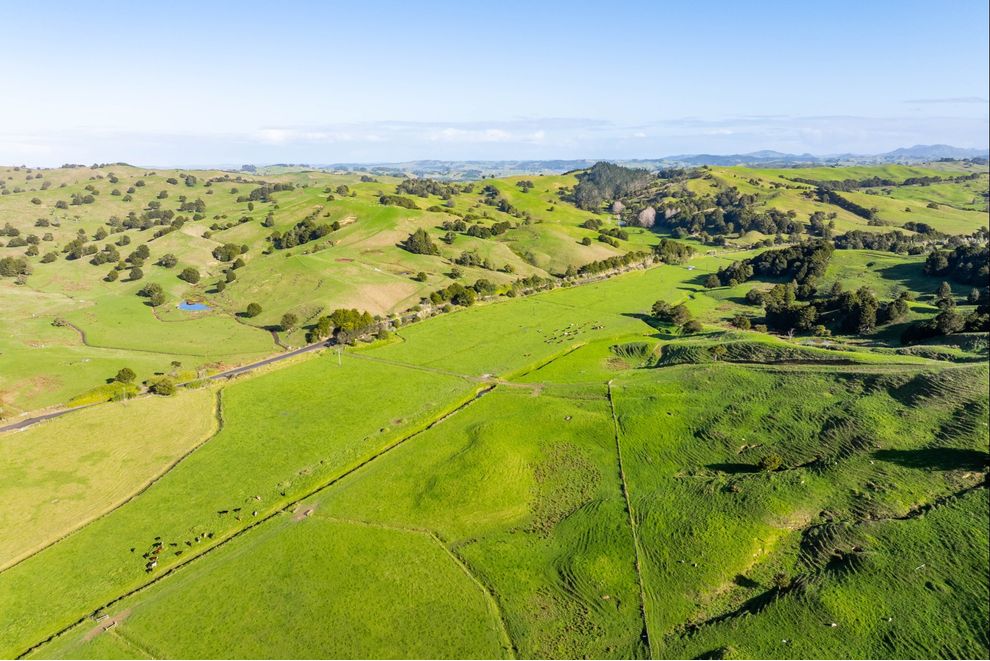 111 Paradise Road, Tangiteroria, Kaipara For Sale realestate.co.nz