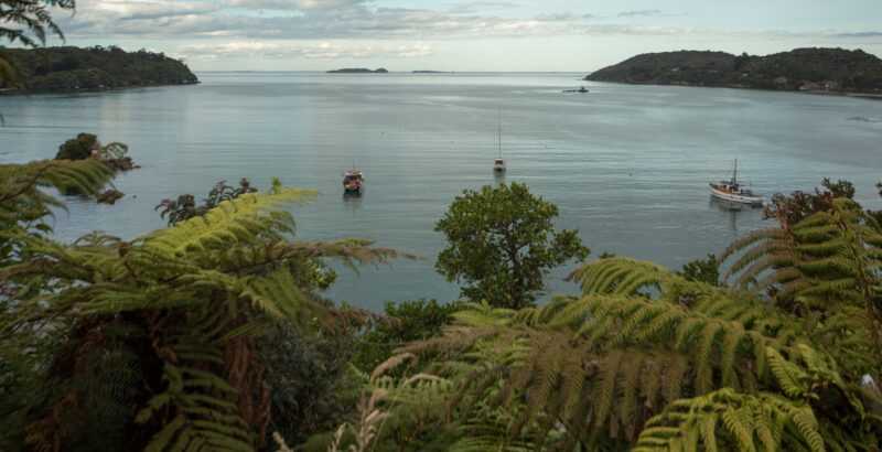36  Kamahi Road, Stewart Island