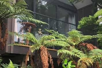 Rare FHGC Opportunity In Stewart Island
