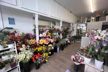 PRIME INVESTMENT OPPORTUNITY IN CENTRAL BIRKEN...