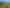 2657 State Highway 4, Owhango