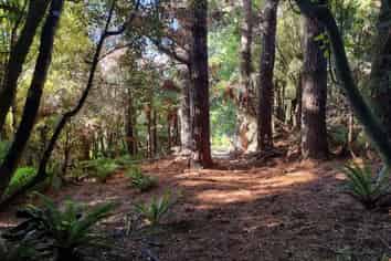 111 Main Road, Stewart Island