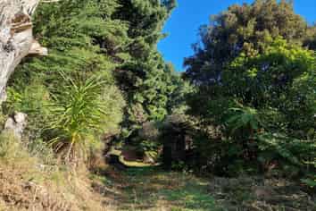111 Main Road, Stewart Island