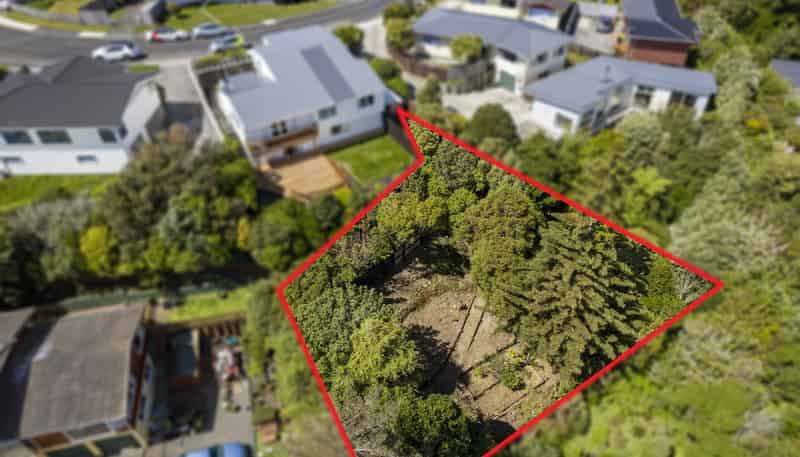21a Lomita Rd, Johnsonville