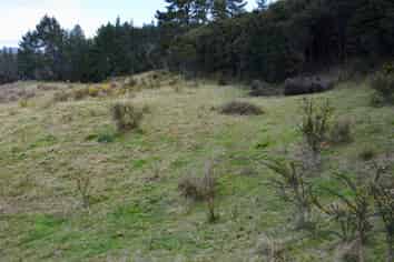 Lot 6, 131 Paul Road, Tairua