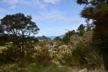 Lot 6, 131 Paul Road, Tairua