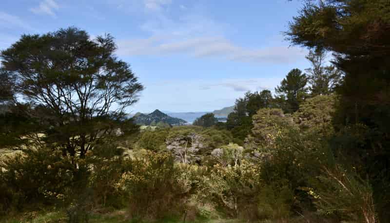 Lot 6, 131 Paul Road, Tairua