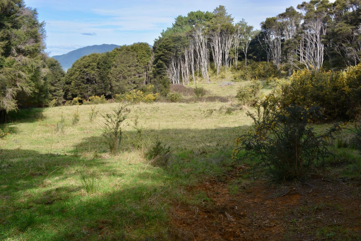 Escape to the country - Vista 4