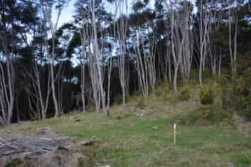 Lot 6, 131 Paul Road, Tairua