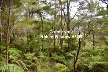 Lot 5, 131 Paul Road, Tairua