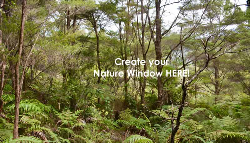 Lot 5, 131 Paul Road, Tairua