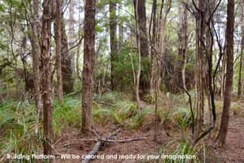 Lot 5, 131 Paul Road, Tairua