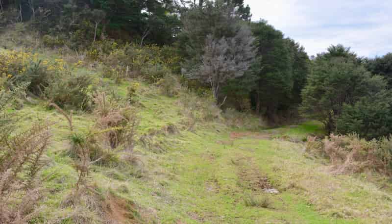 Lot 4, 131 Paul Road, Tairua