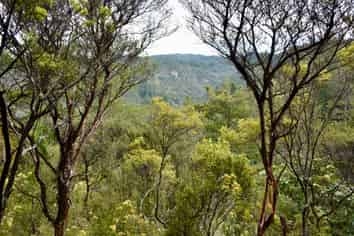 Lot 4, 131 Paul Road, Tairua