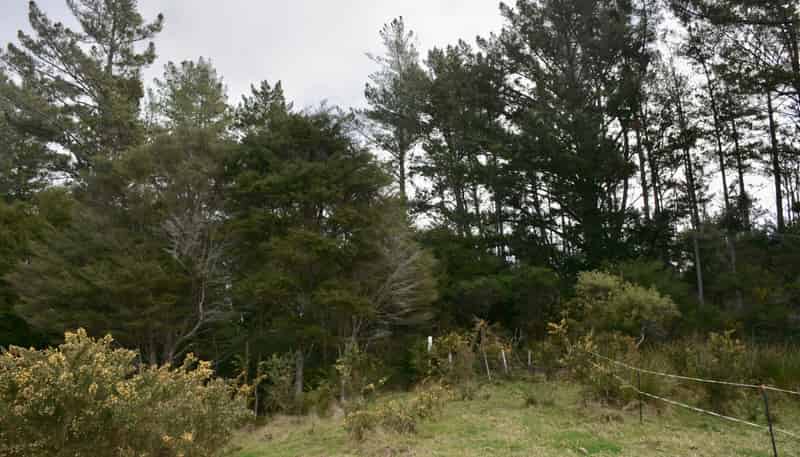 Lot 4, 131 Paul Road, Tairua