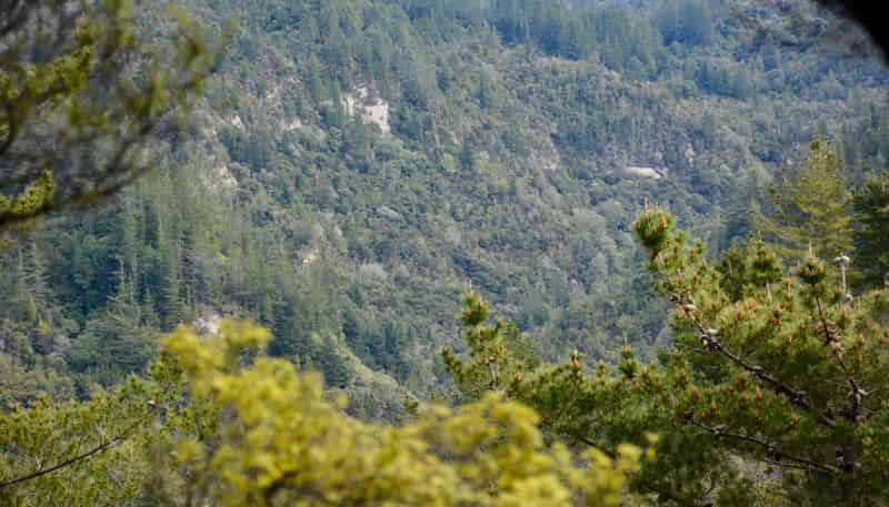 Lot 4, 131 Paul Road, Tairua