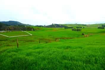 Lots 1 & 2 Larmers Road, Kaitaia