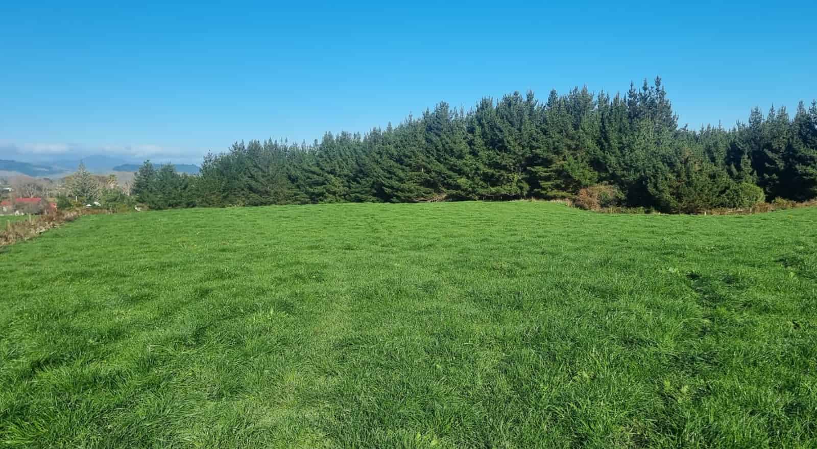 Lot 2 147 Papaitonga Lake Road, Ohau, Horowhenua For Sale