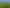  Pope Road, Lot 1, 3, 4, Tokanui
